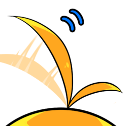御琴わり