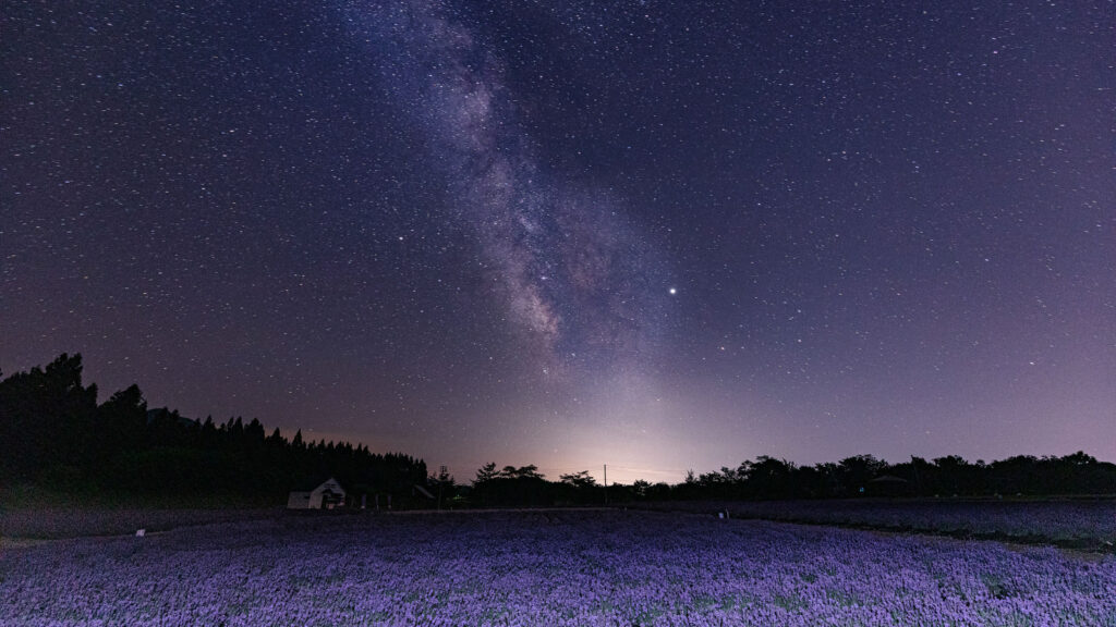運命の雄大を想起させる、ラベンダー畑と天の川の写真